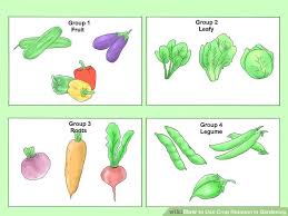 How To Use Crop Rotation In Gardening 11 Steps With Pictures