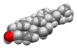 Why do total cholesterol levels drop after you stop eating those foods? Cholesterol Wikipedia