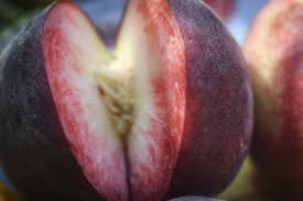 Abricots Peches Et Thym Leurs Bienfaits Tout Savoir Sur Les Fruits La Cour D Orgeres
