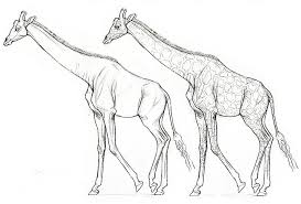 We did not find results for: Comment Dessiner Une Girafe Etape Par Etape Adobe