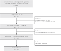 21 Gene Recurrence Score And Adjuvant Chemotherapy Decision