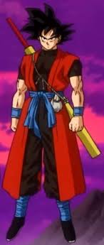 Zeno)2 is an incarnation of goku from a world separate to the main timeline3 who is a member of the time patrol. Xeno Goku Dragon Ball Wiki Fandom