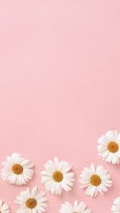 Pink wallpapers, backgrounds, images— best pink desktop wallpaper sort wallpapers by: 35 Free Cute Pink Wallpapers For Iphone That You Ll Love Pink Flowers Wallpaper Pink Wallpaper Iphone Simple Iphone Wallpaper
