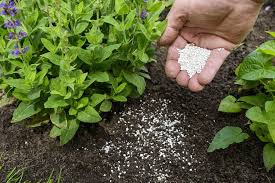 Beete und rasen sollte man regelmäßig kalken. Boden Kalken Wann Und Wie Viel Kalk Braucht Der Garten