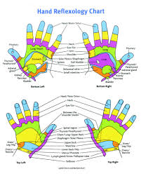 Exact Measure Hand Reflexology Chart