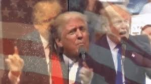 See more ideas about liberal government, trudeau, justin trudeau. Latest Liberals Gifs Gfycat