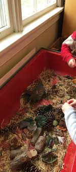 Parts Of A Tree Sensory Table Pre Kindergarten Activities Tree Study Preschool Garden