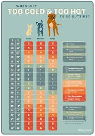 To help keep your dog safe and cool during the summer, here is the lowdown on signs that he's overheating and how to prevent it: How Hot Is Too Hot For Dogs To Be Outside Daily Paws