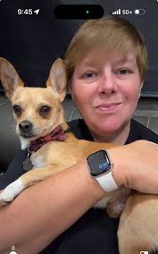 Introduction of a chiweenie mix dog