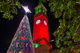 Brightly lit, decked out in ornaments and tinsels, choose from the best christmas tree images and pictures from our collection. Lighting Of The Christmas Tree Brisbane Cbd Must Do Brisbane