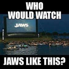 Oddnmacabre So Would Ya Watch Jaws Like This Funny Jokes Funny Relatable Memes Funny Pictures