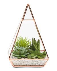 Mixed Succulent In Pyramid Glass Terrarium Moss Decor Modern Floor Lamp Design Decor