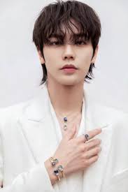 Lin Yanjun Profile and Facts (Updated!)