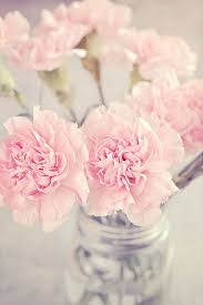 We did not find results for: Peonies 1080p 2k 4k 5k Hd Wallpapers Free Download Wallpaper Flare