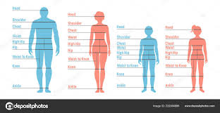 Man Woman Boy Girl Size Chart Human Front Side Silhouette