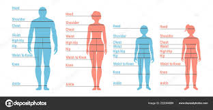 man woman boy girl size chart human front side silhouette