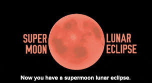 Share the best gifs now >>>. Moon Eclipse Gifs Get The Best Gif On Giphy