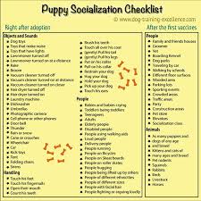Puppy Clicker Training Socialization Is One Of The Most