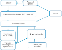 Hyperinsulinemia An Overview Sciencedirect Topics
