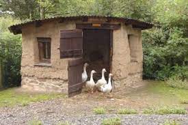 We did not find results for: 37 Free Diy Duck House Coop Plans Ideas That You Can Easily Build