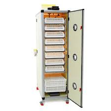 Kulucka Hobi Serisi Panosundaki Pin