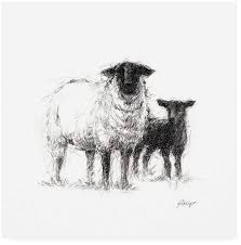 Black And White Sheep Drawing Study Ethan Harper Charcoal Sheep Ii Canvas Art 15 5 X 21 Sheep Art Sheep Illustration Sheep Drawing