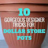 Green plant, brown stems, and a white ceramic planter is an undeniably gorgeous combination! 1