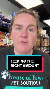 Effective Feeding Methods for Overweight Pets