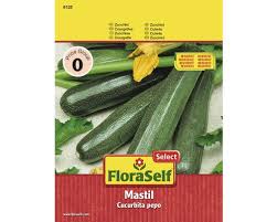 Choose a zucchini with a vibrant color (whatever color it is) and a firm but not hard texture, with a good portion of the stem still attached to the top. Zucchini Mastil Floraself Select Gemusesamen Bei Hornbach Kaufen
