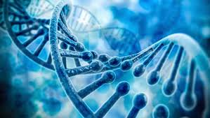 Find the best free stock images about science. Lonnberg Named Swedish Life Science Coordinator Nordic Life Science The Leading Nordic Life Science News Service