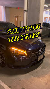 Image result for Brown Squirrel 2014 Peugeot