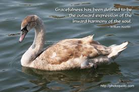 Moving in a smooth and attractive way, o.: Quotes About Graceful 208 Quotes