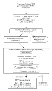 Flow Chart Of The Screening Process Used To Identify Ot3