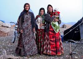 نتیجه جستجوی لغت [nomadic] در گوگل