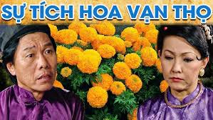 SỰ TÍCH HOA VẠN THỌ