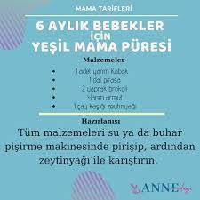 6 aylik bebekler icin yesil mama puresi mama tarifleri manti armut