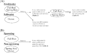 Figure 1 From Differential Gene Expression Between Fall And