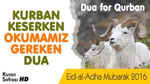 Her yıl i̇slam aleminin hasretle beklediğimiz kurban bayramı ve akabinde çokça merak edilen kurbanlık fiyatları ne kadardır? Kurban Kesilirken Okunacak Dua 2016 Dua For Qurban Youtube