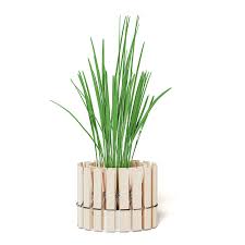 Plant 3d Model With Clothes Peg Pot Clothes Pegs Peg 3d Model