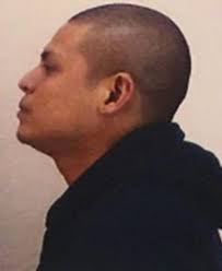 EFRAIN VASQUEZ-YANEZ