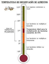 Formas De Conservar Alimentos Conservacion De Alimentos Alimentos Para Ninos Alimentos