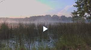 En leersum, la temperatura promedio esperada en mayo es de 13.2°c/55.8°f. Leersumse Veld Geopark Heuvelrug Gooi En Vecht