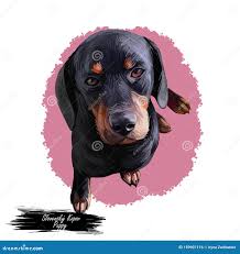 Image result for slovenský kopov