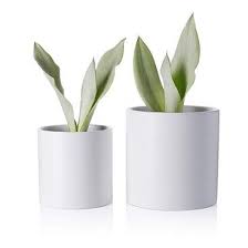 The Best Home Deals From Amazon Prime Day Home Decor In 2020 Ceramic Flower Pots Ceramic Planters Indoor Plant Pots