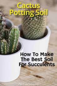 Cacti and succulents thrive in containers and because most are slow growing, they do not need to always use cactus soil or add sand to the soil for good drainage. Homemade Cactus Soil Mix How To Make A Quality Potting Soil For Cacti