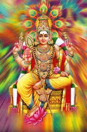 Hindu God Murugan Hd Wallpaper Lord Murugan Images Free Download For Tab Page No 2 Wallsnapy Below is a list of the galleries available at the moment. hindu god murugan hd wallpaper lord