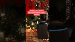 Alexa, do you have any pets? Alexa Tell Me A Christmas Joke Youtube