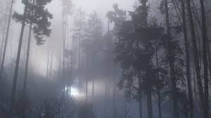 Последние твиты от ufo ufo (@ufoufoband). Rendlesham Forest Ufo Are We Any Closer To The Truth 40 Years On Bbc News