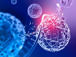 Regulation of gene expression - e-Zyvec