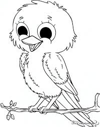 Dessins sur les oiseaux pour le coloriage. Coloriage Oiseau Gratuit A Imprimer